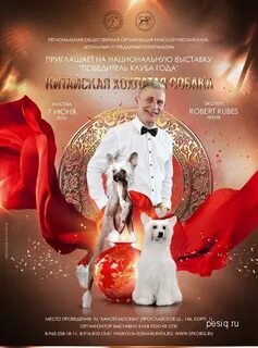 Пригласить собаку