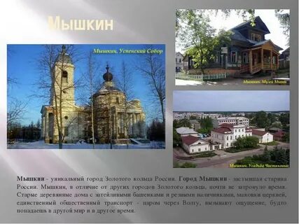 Характеристика мышкина