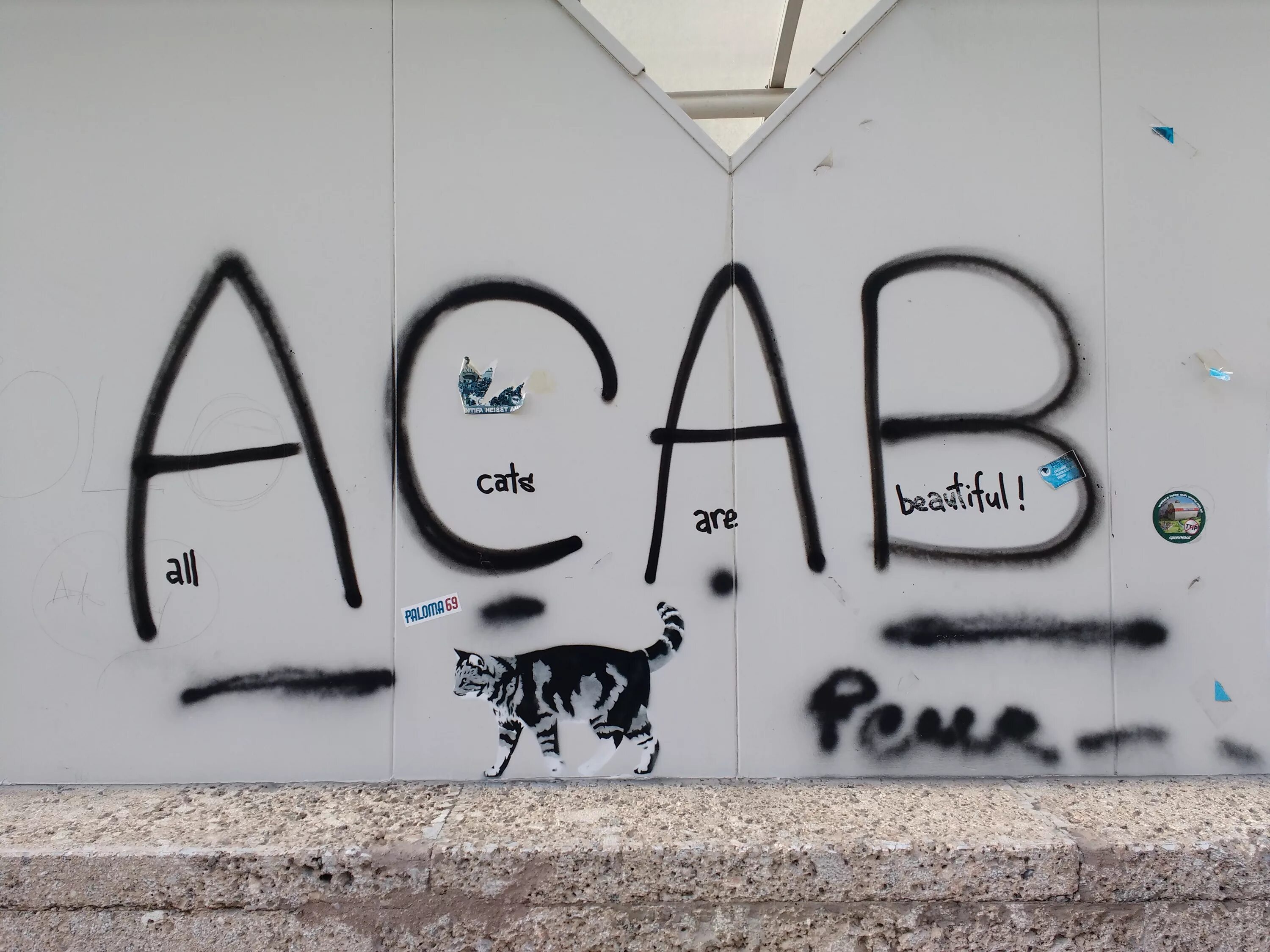 Теги a c a b. ACAB граффити. Граффити кошка. A.C.A.B граффити. Граффити АСАВ.