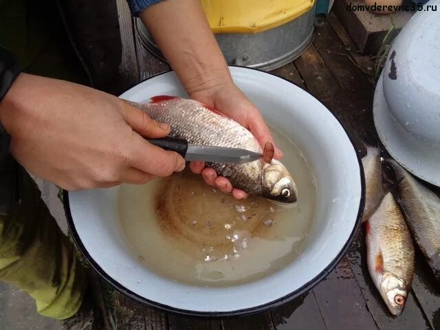 Как чистить речную рыбу