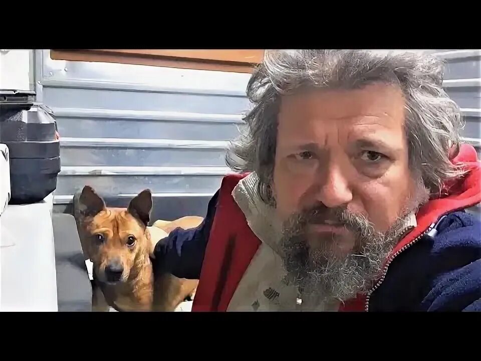 Собака. Лохматые судьбы. Лохматые судьбы. Лохматые судьбы. Лохматые судьбы.