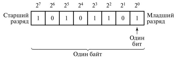 8 разрядном формате. Старший и младший бит числа. Младший разряд в двоичной системе. Старшие и младшие разряды чисел. Младший и старший разряд двоичного числа.