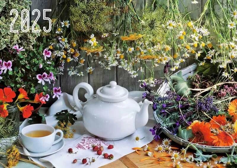 Млеет травами. Травяной чай. чаепитие из трав. травяной чай чаепитие. чай с травами.