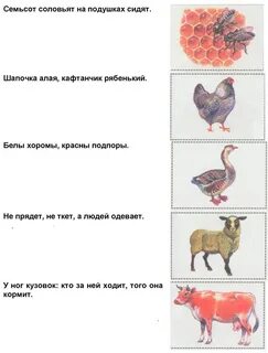 Загадка шапочка алая жилеточка нетканая кафтанчик рябенький