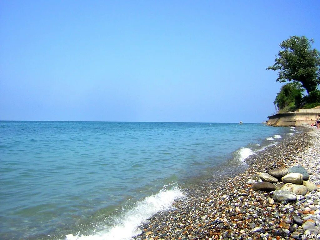 Ехать ли на черное море. Вардане Краснодарский край. Вардане пляж. Вардане Сочи. Черное море Вардане.