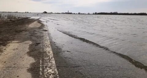 Уровень реки ока на сегодня в алексине