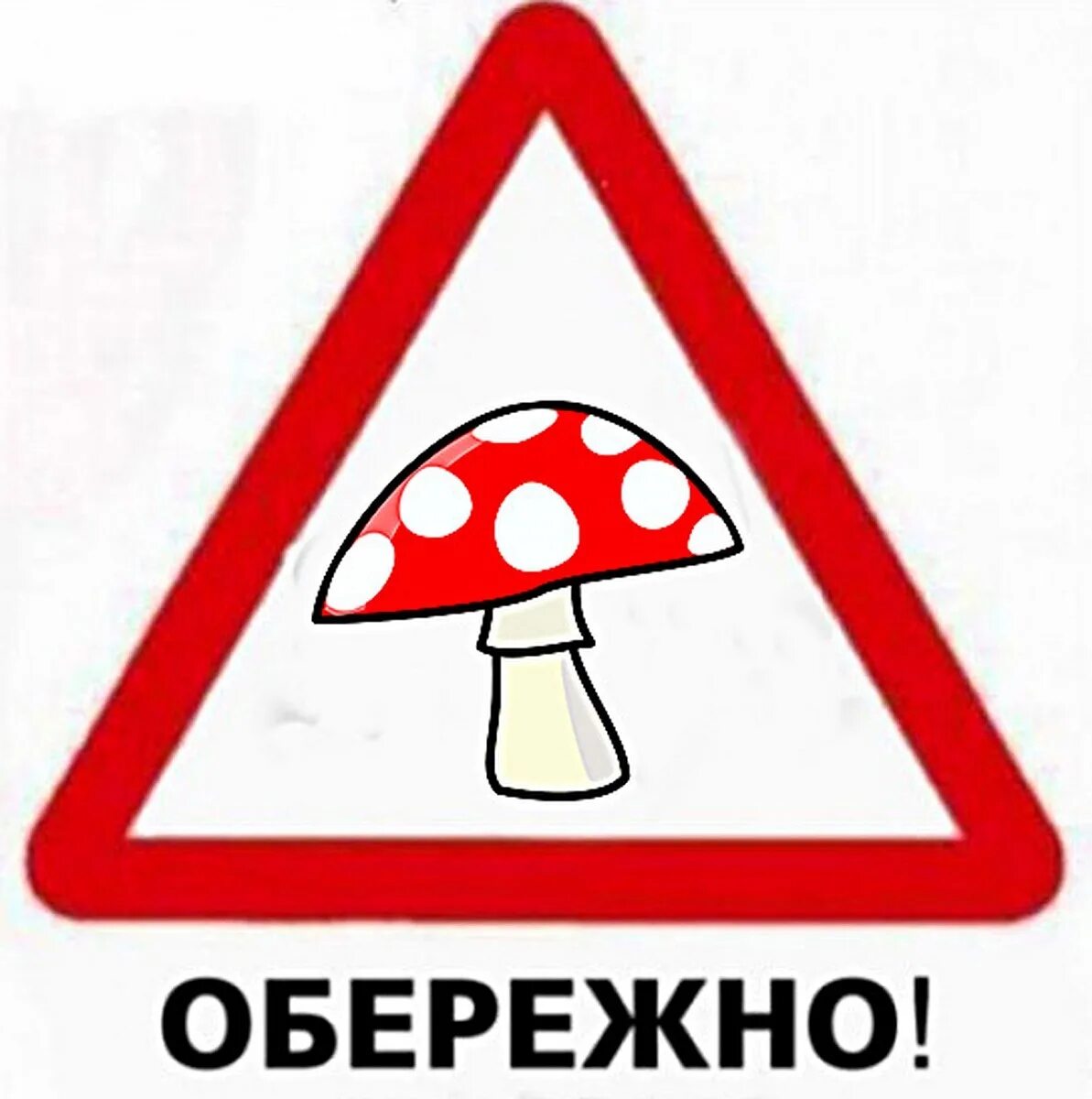 Знак нельзя собирать грибы. Осторожно грибы. Знак осторожно ядовитые грибы. Знак мухомора. Знак осторожно мухомор.