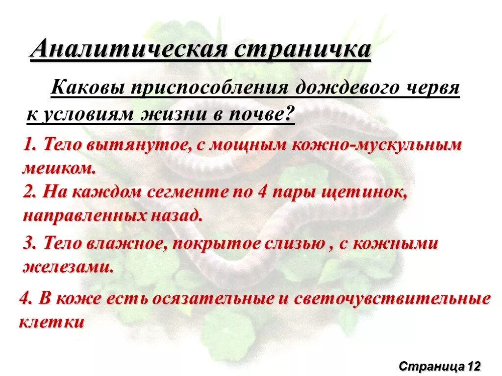 Дождевой червь приспособление к среде обитания. Приспособления дождевых червей к жизни в почве. Дождевой червь черты приспособленности к среде. Признаки приспособленности дождевого червя к жизни в почвенной среде.