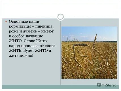 Значение слова жито 6 класс литература