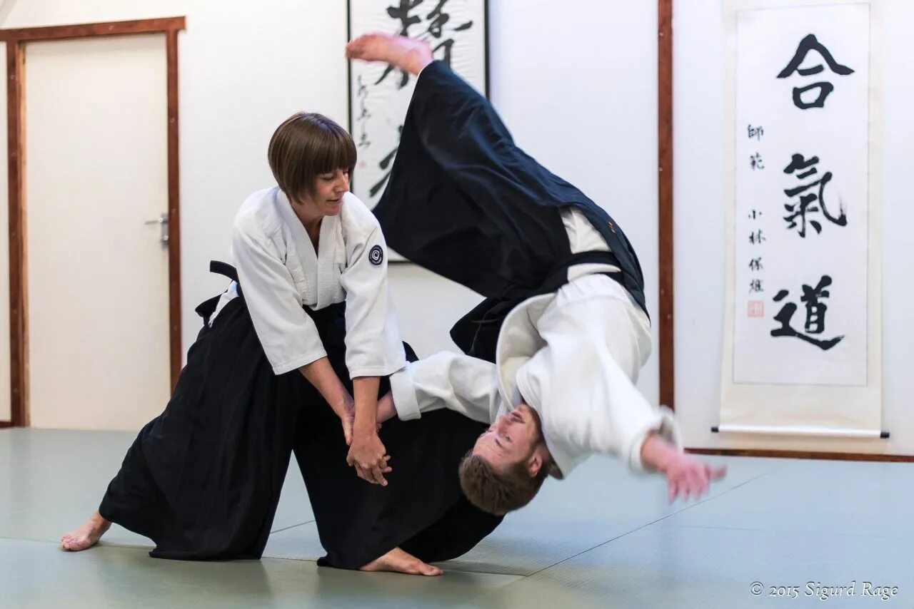 Self-defense dojo secret игра. Айкидо женщины. Harumachi clover. Восхождение джикаге / jikage rising. Self defense dojo secret.