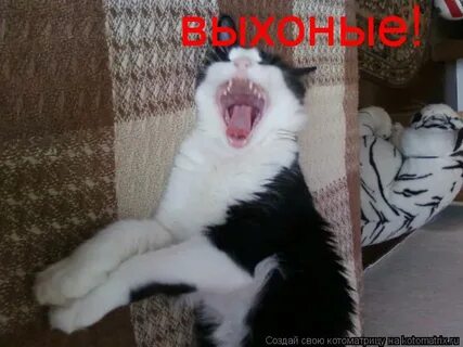 Я не милашка