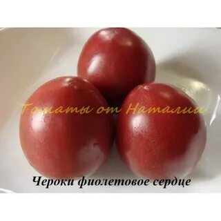 Описание томата гном фиолетовое сердце