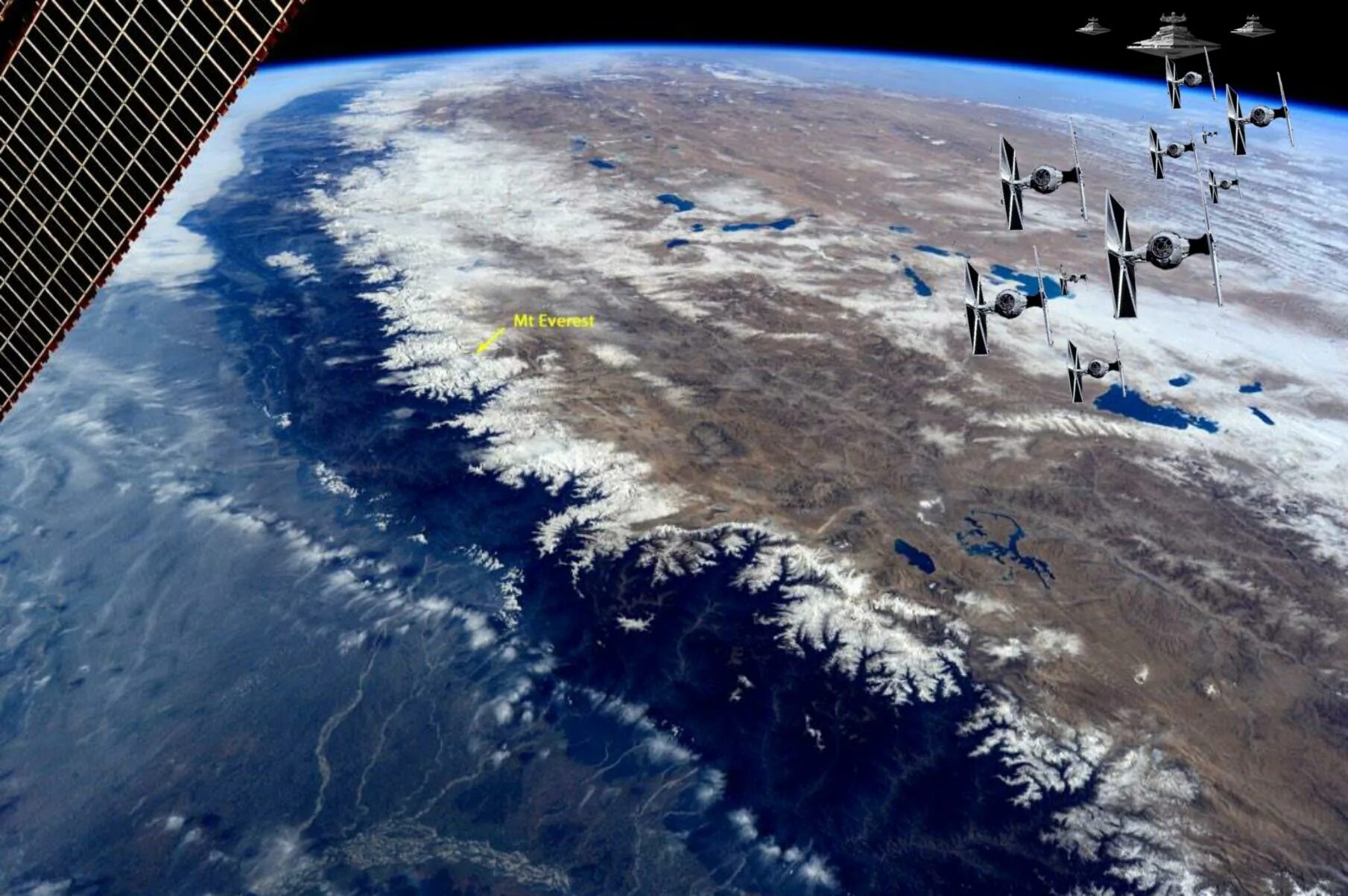 Население земли в реальном времени 2025