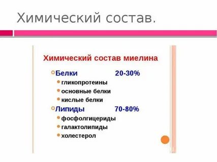 Основные белки миелина