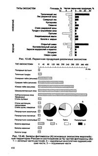 Самые большие запасы фитомассы земного шара сосредоточены