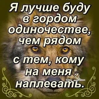 Хорошо гордый