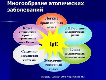 Атопические заболевания