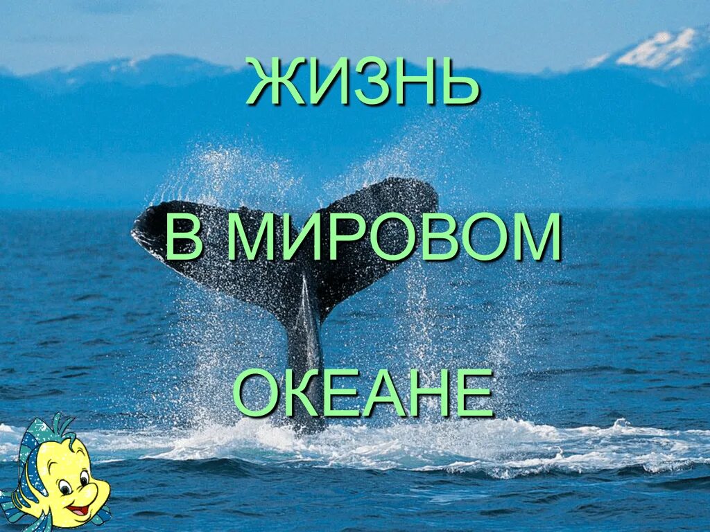 Сообщение жизнь в океане 6 класс. Жизнь в мировом океане презентация. Жизнь в мировом океане проект. Проект на тему жизнь в океане. Жизнь в океане презентация.