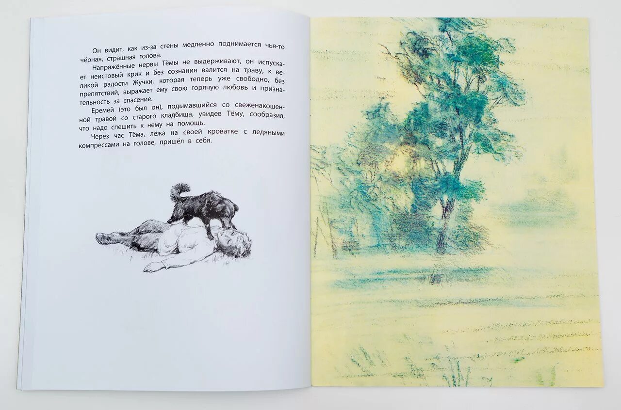 Н г михайловский тема и жучка читать. Тёма и жучка. рассказ тема и жучка. сказка про тёму и жучку. тема и жучка гарин-михайловский читать.