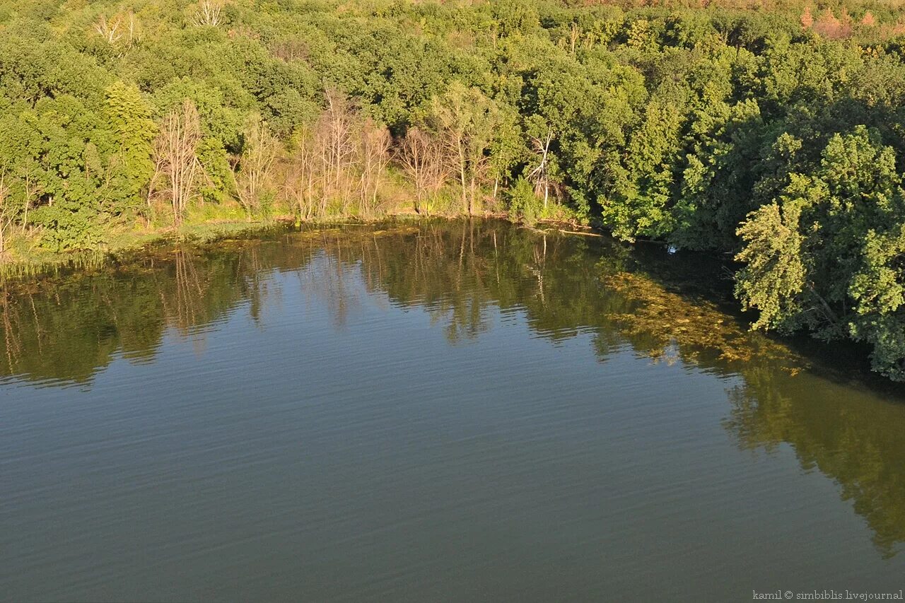 Вода в черемшане