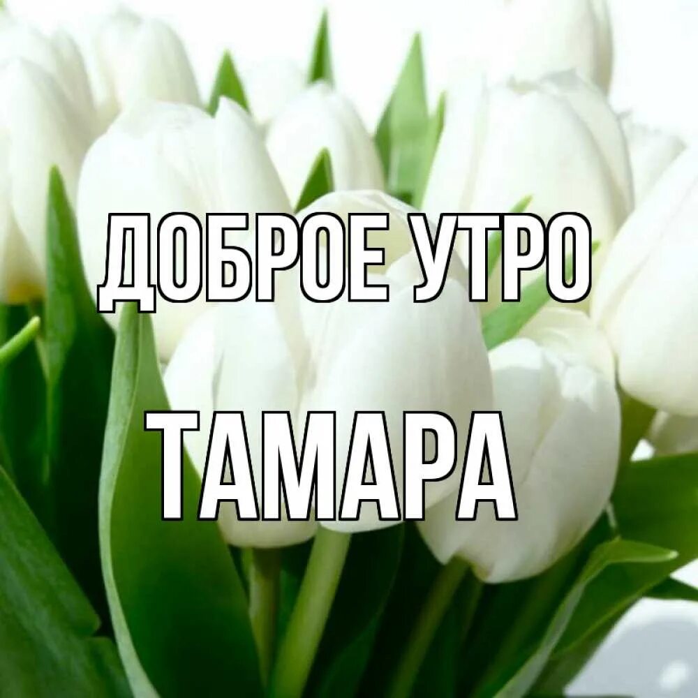Светы доброе утро. С добрым утром света. доброе утро светик. пожелания с добрым утром светлане.