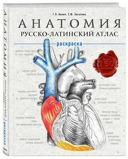 Анатомия атлас раскраска