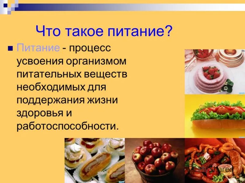 процесс усвоения питательных веществ. процесс усвоения организмом питательных веществ. процесс усвоения питательных веществ. процесс усвоения питательных веществ. вещества необходимые для жизнедеятельности.