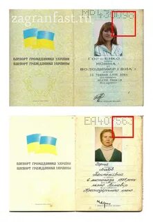 Внж украины
