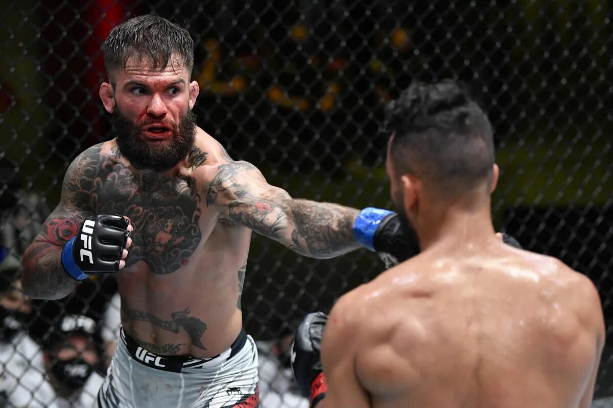 Смешанные единоборства ufc прямая трансляция. Ufc cody garbrandt. коди гарбрандт роб фонт. боец мма коди гарбрандт.