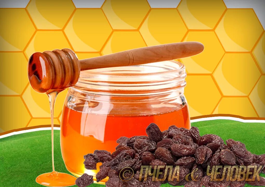 Мед с изюмом. Изюм и мёд для суставов. Медовая обложка. Мед пчелиное исцеление.