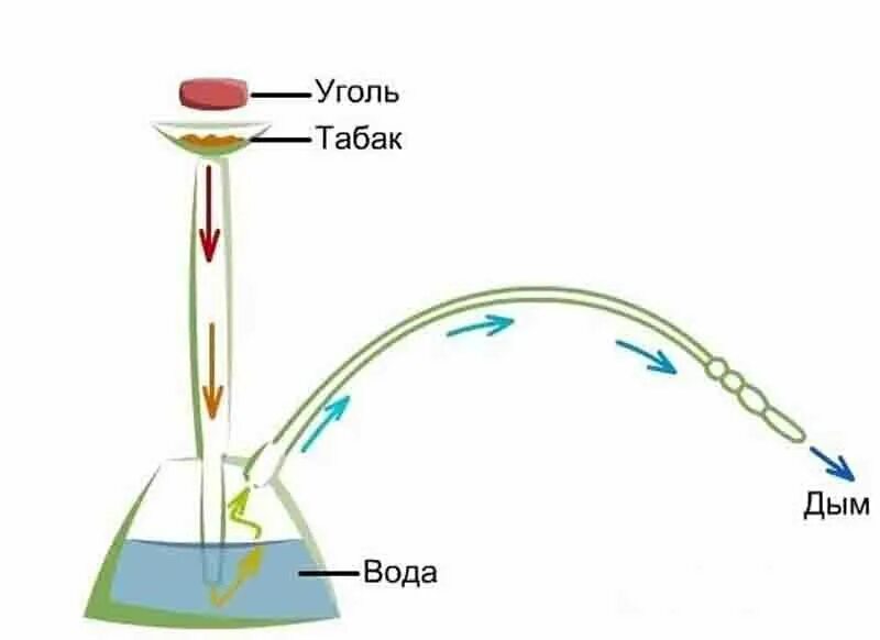 Принцип действия кальяна схема. Устройство кальяна схема. Устройство кальяна и принцип работы. Принцип работы кальяна на воде схема.