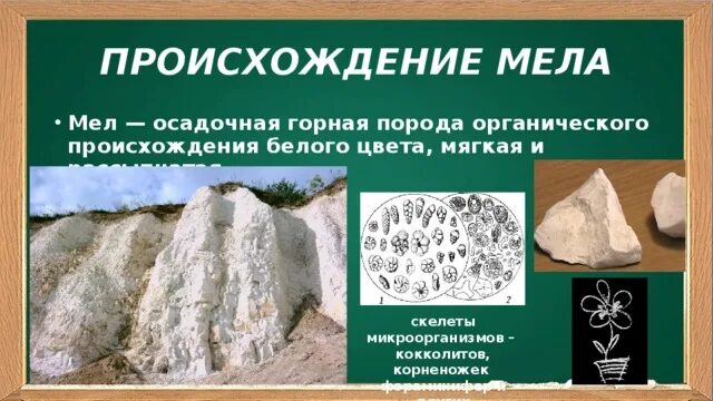 Мел осадочная Горная порода. Происхождение мела в природе. Из чего состоит мел. Осадочная порода мел происхождение.