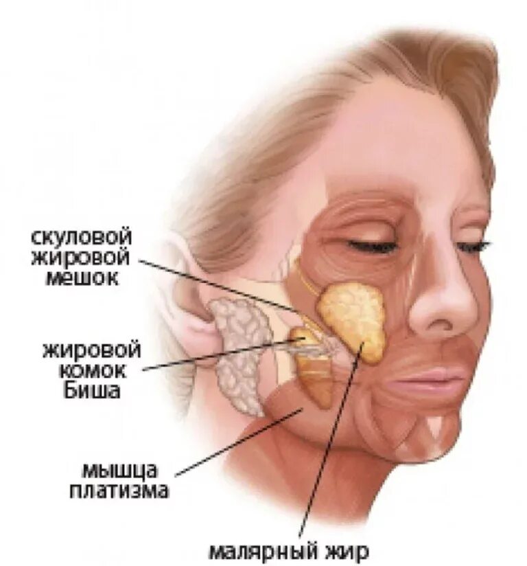 Без комков биша