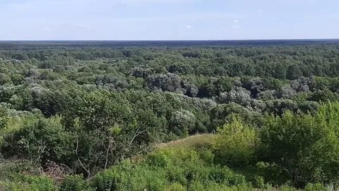 Погода супонево брянской