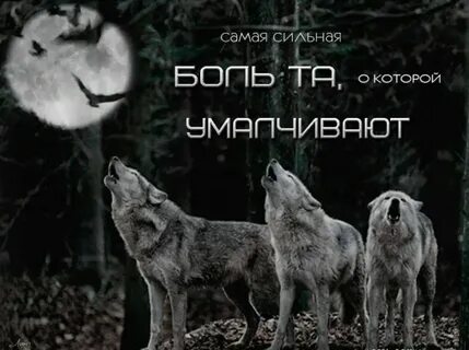 Группа одинокий волк