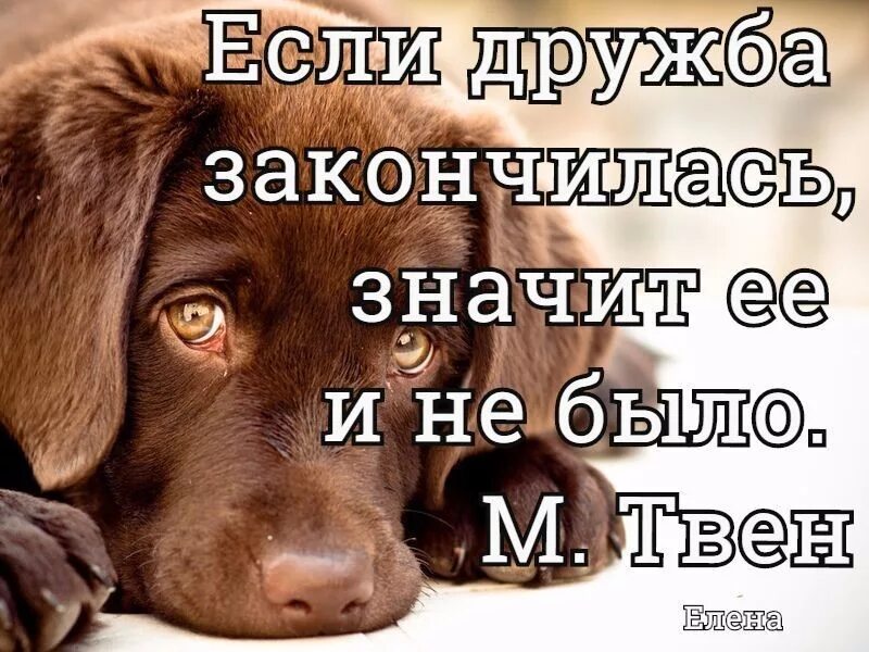 Что значит кончились. Дружбе конец. Дружба закончилась. Цитаты про законченную дружбу. Цитаты об окончании дружбы.