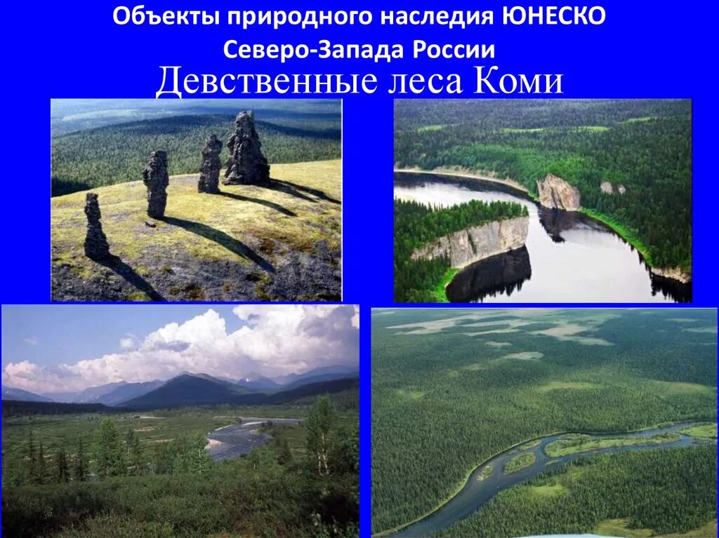 Данный объект является территорией природного наследия. Всемирное наследие республики коми. объект юнеско девственные леса коми. леса коми наследие юнеско.