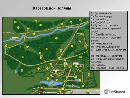 Схема поляне