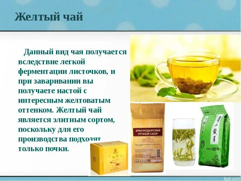 Чай какие значения. Хельба жёлтый чай из египта. презентация желтый чай. презентация на тему чай. чай для презентации.
