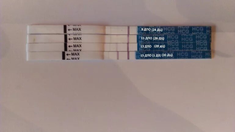 Тест 24 су 2023. 9 ДПО полоска призрак. 1 ДЗ призрак на тесте. 24 ДЦ полоска призрак. Имплантация на 4 ДПО.