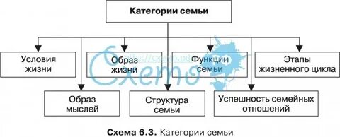 Категории различных семей