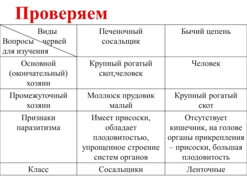 Используя содержание текста паразитические черви. Паразитические плоские черви сосальщики таблица. таблица по биологии 7 класс печеночного сосальщика. плоские черви печеночный сосальщик таблица. сравнение печеночного сосальщика и бычьего цепня.
