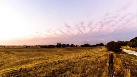 Most land