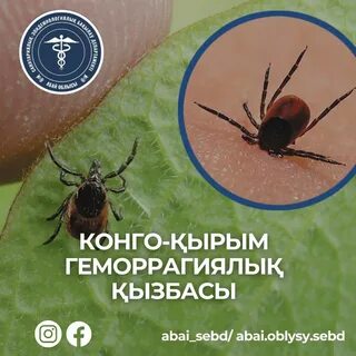 Белдік және сперма порно көру