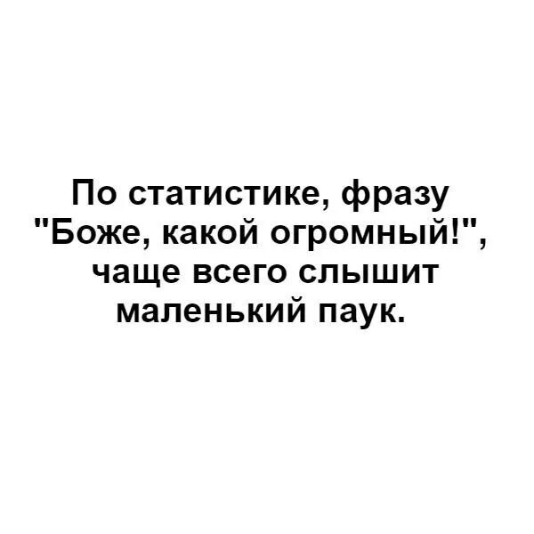 Цитаты о статистике. Цитаты про статистику. Какой огромный чаще всего слышит маленький паук. Боже какой огромный чаще. Боже какой большой