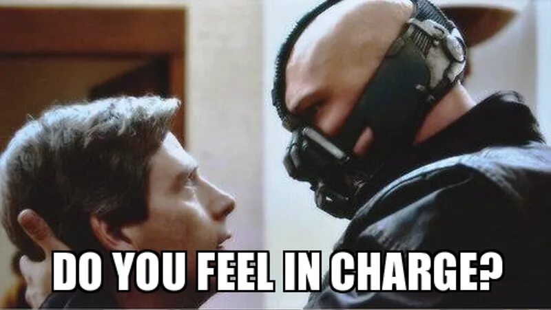 Do you feel like going. Do you feel in charge. In charge of. Do you feel in charge meme. What do you think is in charge перевод.