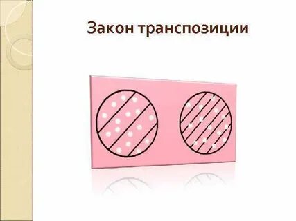 Закон транспозиции