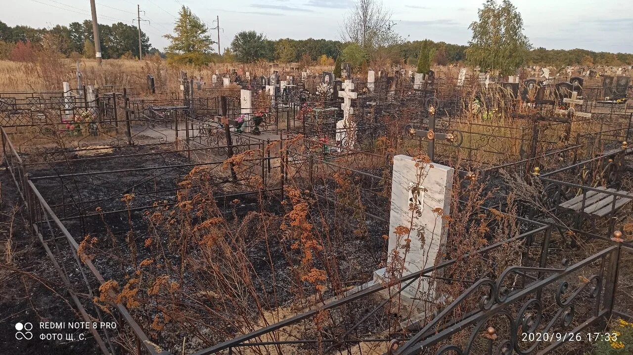 Буденовское кладбище Воронеж. Берёзовское кладбище Воронеж. Кладбище в Шуберском Воронеж. Будённовское кладбище Воронеж , Церковь. Кладбища воронежа памятники