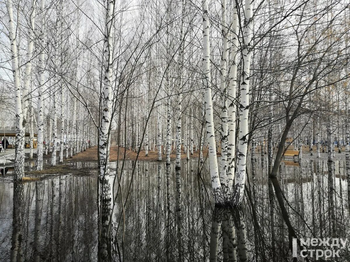 Нижний Тагил суровый город. Весенний Нижний Тагил. Нижний Тагил весной. Когда ждать весну в 2024