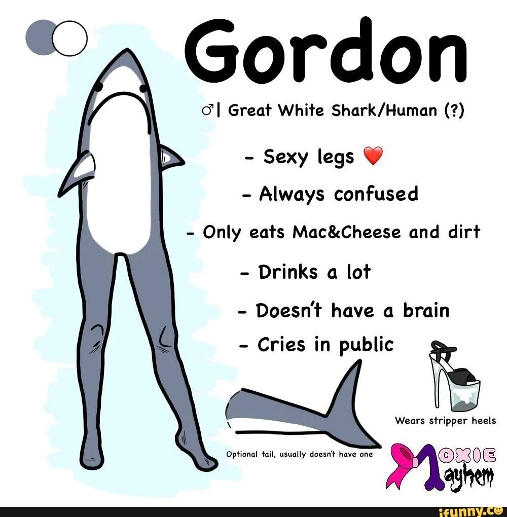 Gordon Legs. Shark with Legs. Женщина акула Мем TGA.